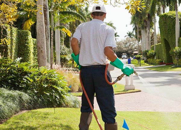 About Foresthill CA Pest Control